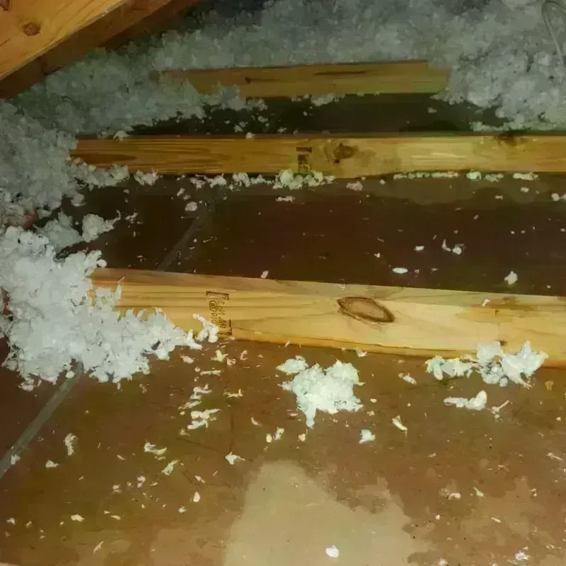 Attic Water Damage in Freeport, ME